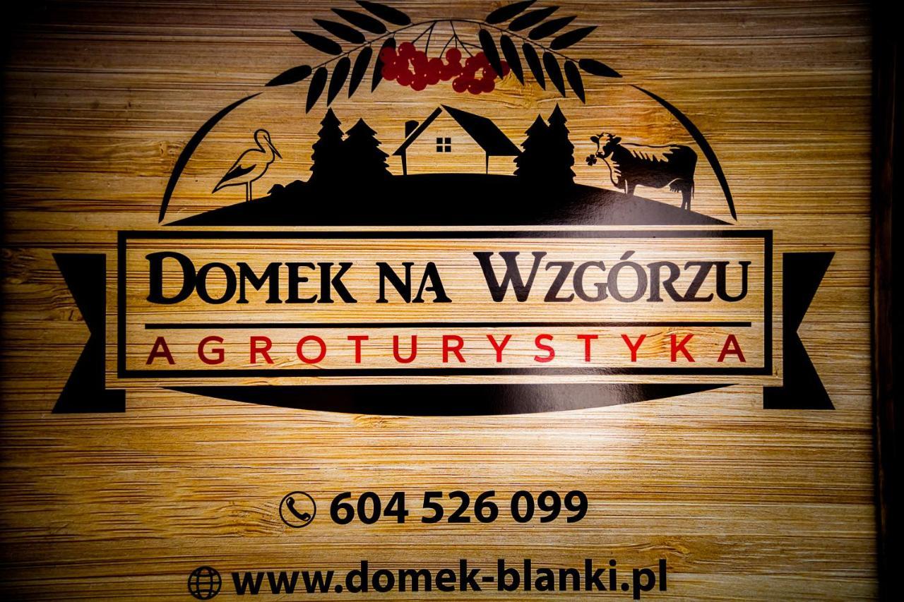 Domek Na Wzgorzu Blanki Лідзбарк-Вармінський Екстер'єр фото